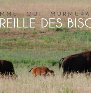 L’homme qui murmurait à l’oreille des Bisons