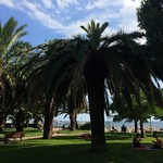  Petit parc bien agréable et à l'ombre juste à côté du #port de #saintraphael #esterel #cotedazur 