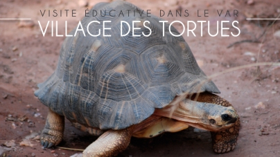 Le village des tortues de Gonfaron. Une balade éducative dans le #Var pour toute la famille