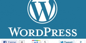 Comment bien intégrer Facebook et Twitter dans les widgets WordPress sans installer d’extension ?