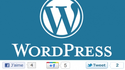 Comment bien intégrer Facebook et Twitter dans les widgets WordPress sans installer d’extension ?