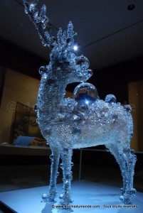 Un vrai cerf empaillé sous le verre
