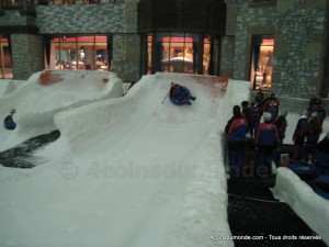 Autre activité Ski Dubaï la bouée sur glace