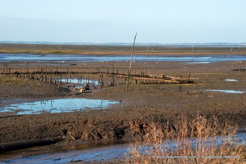 Arcachon et les grandes marées de l'Atlantique