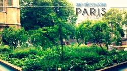 Découvrir des quartiers de Paris autrement