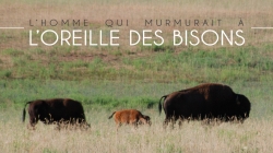 L’homme qui murmurait à l’oreille des Bisons