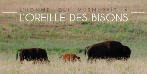 L’homme qui murmurait à l’oreille des Bisons