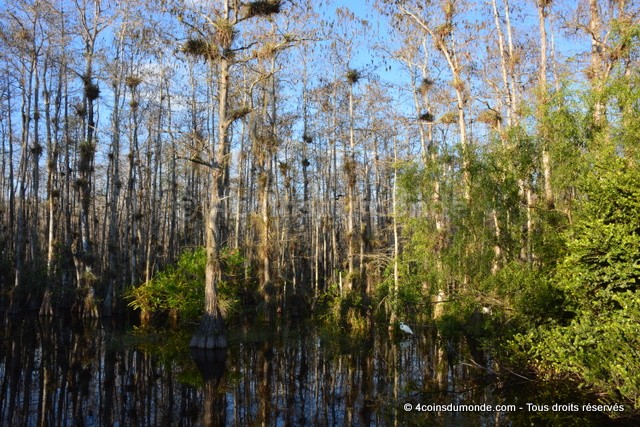 bon plan itinéraire Everglades Floride