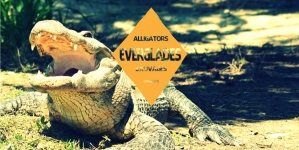 Sortir des sentiers battus des Everglades