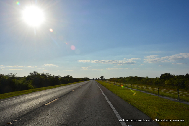 La route classique qui traverse les Everglades La route classique qui traverse les Everglades