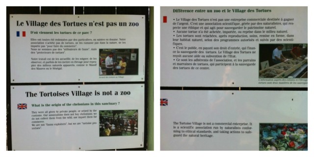 Le village des tortues n'est pas un zoo le village des tortues n'est pas un zoo