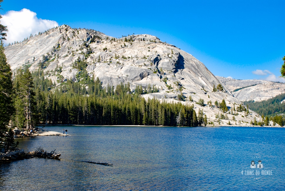 Acheter Pass America The Beautiful-3