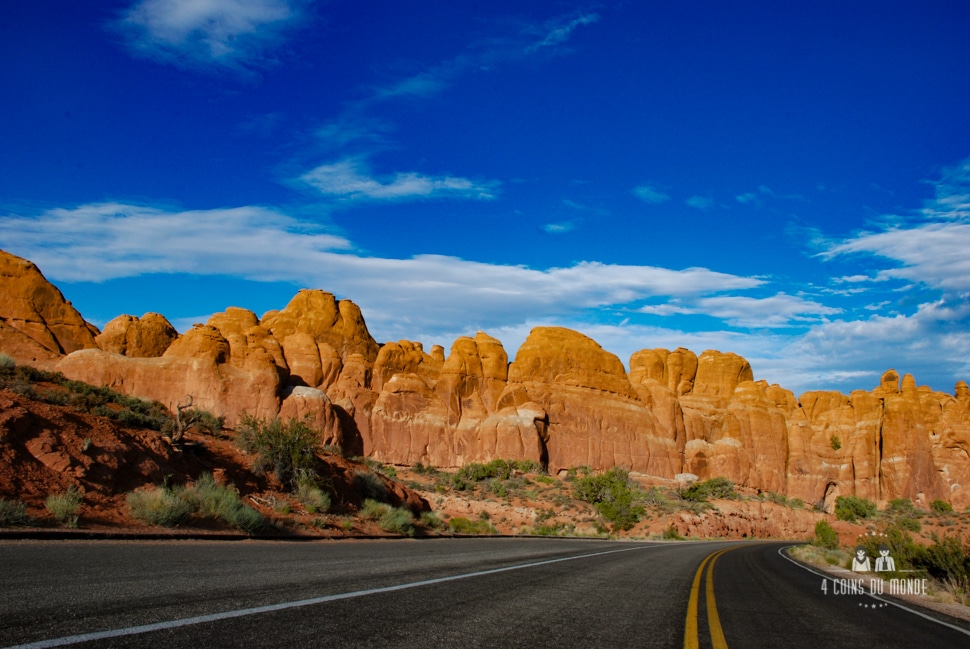 Acheter Pass America The Beautiful d'occasion