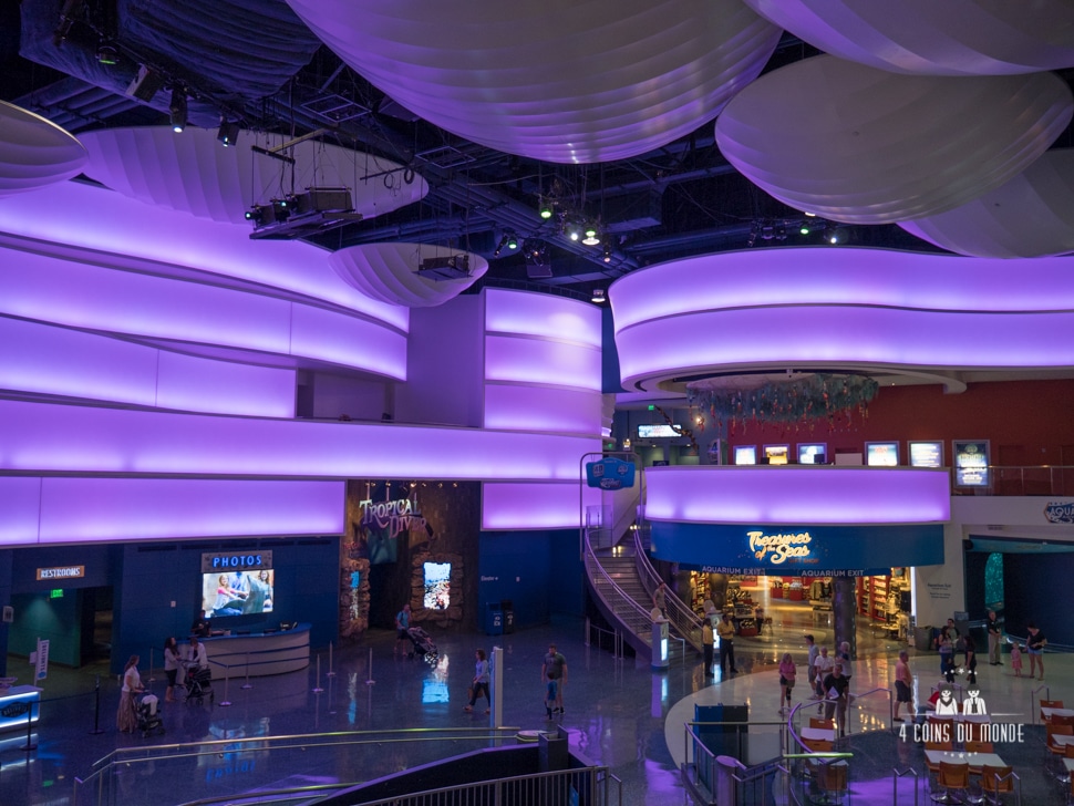 Visite aquarium Atlanta