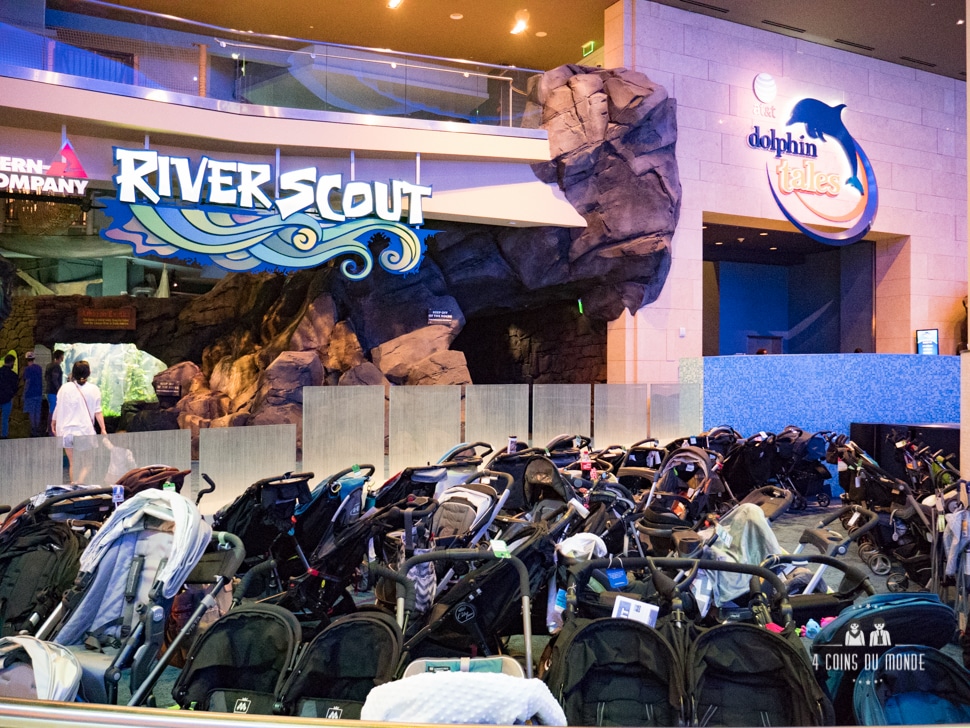 Visite aquarium Atlanta