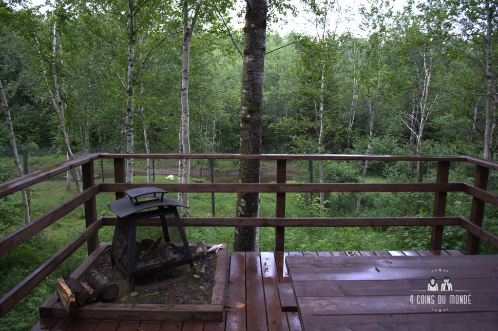 L'enclos des loups à quelques mètres de notre terrasse