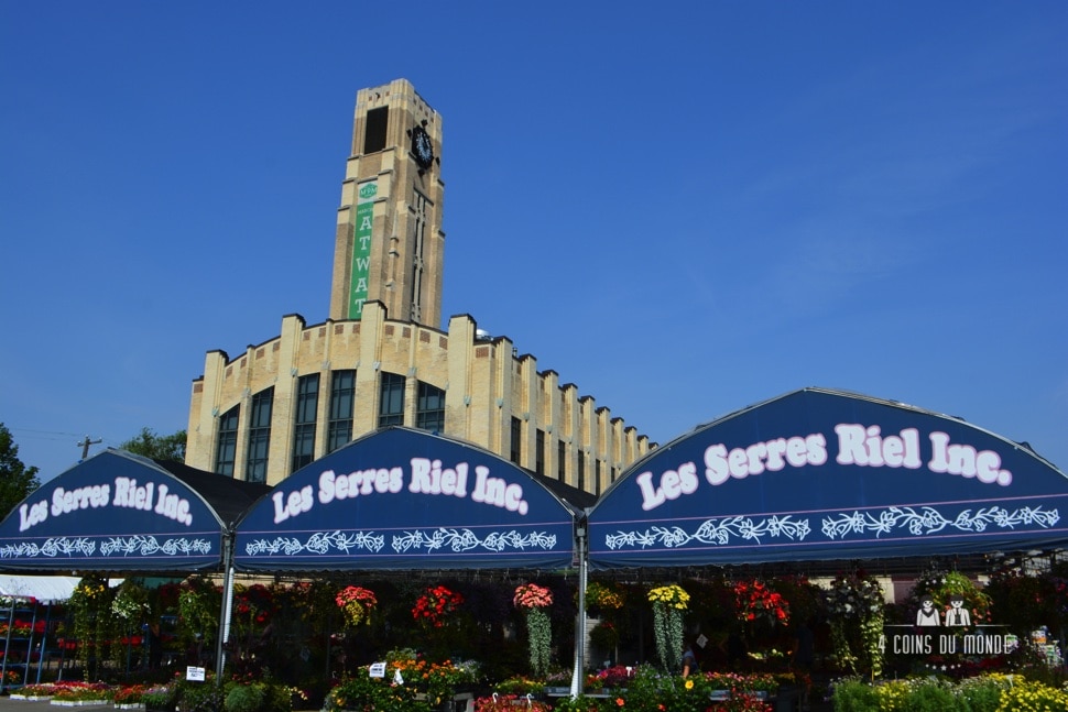 promenade à vélo dans montréal avec passage par le plus beau marché de la ville