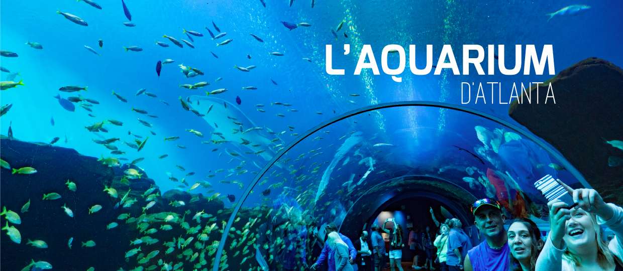 Visite aquarium d'atlanta. Le 2ème plus grand aquarium au monde