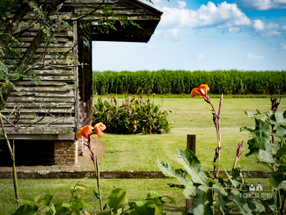 visiter laura plantation louisiane nouvelle orleans-11
