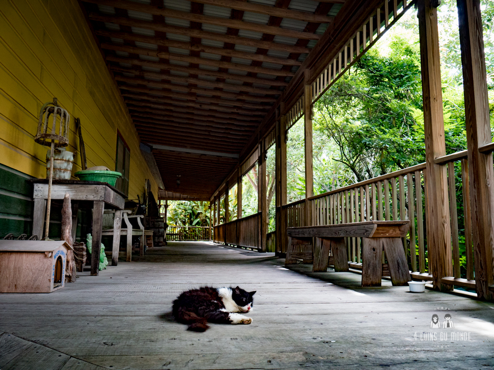 visiter laura plantation