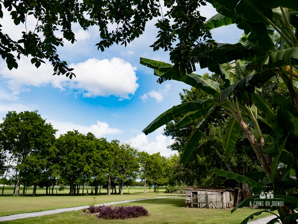 visiter laura plantation louisiane nouvelle orleans-9